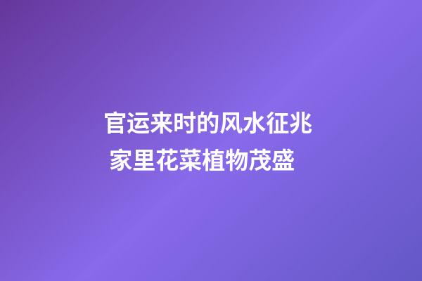 官运来时的风水征兆  家里花菜植物茂盛